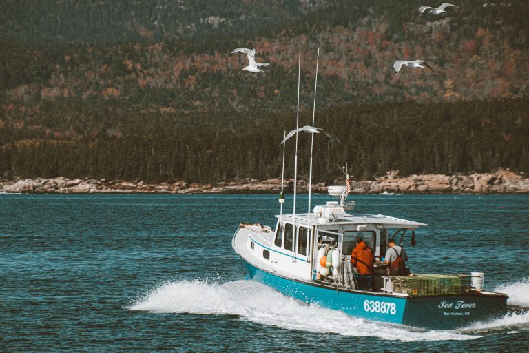 A fishing boat travels along the scenic coastline of Maine with seagulls flying overhead. Un bateau de pêche navigue le long de la côte pittoresque du Maine avec des mouettes volant au-dessus.